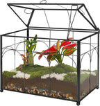 redhugo glass planter terrarium with lid, indoor display, main product view