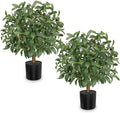 briful 2 pack artificial olive topiary ball tree, main product view