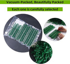 100 Pcs Plant Support Clips,Plastic Clips for Securing Plants,Tomato Vine Clips,Plant Fixing Clips,Garden Clips for Climbing Plants,Grape and Vine Vegetables (100, Green)