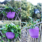 ORIMERC 6 Pcs Colorful Resin Wall Hanging Planter Pot Vertical Garden Living Wall Mount Window Hang Indoor Outdoor for Kitchen Herb Balcony Railing Shelf Fence Bedroom Trellis Décor
