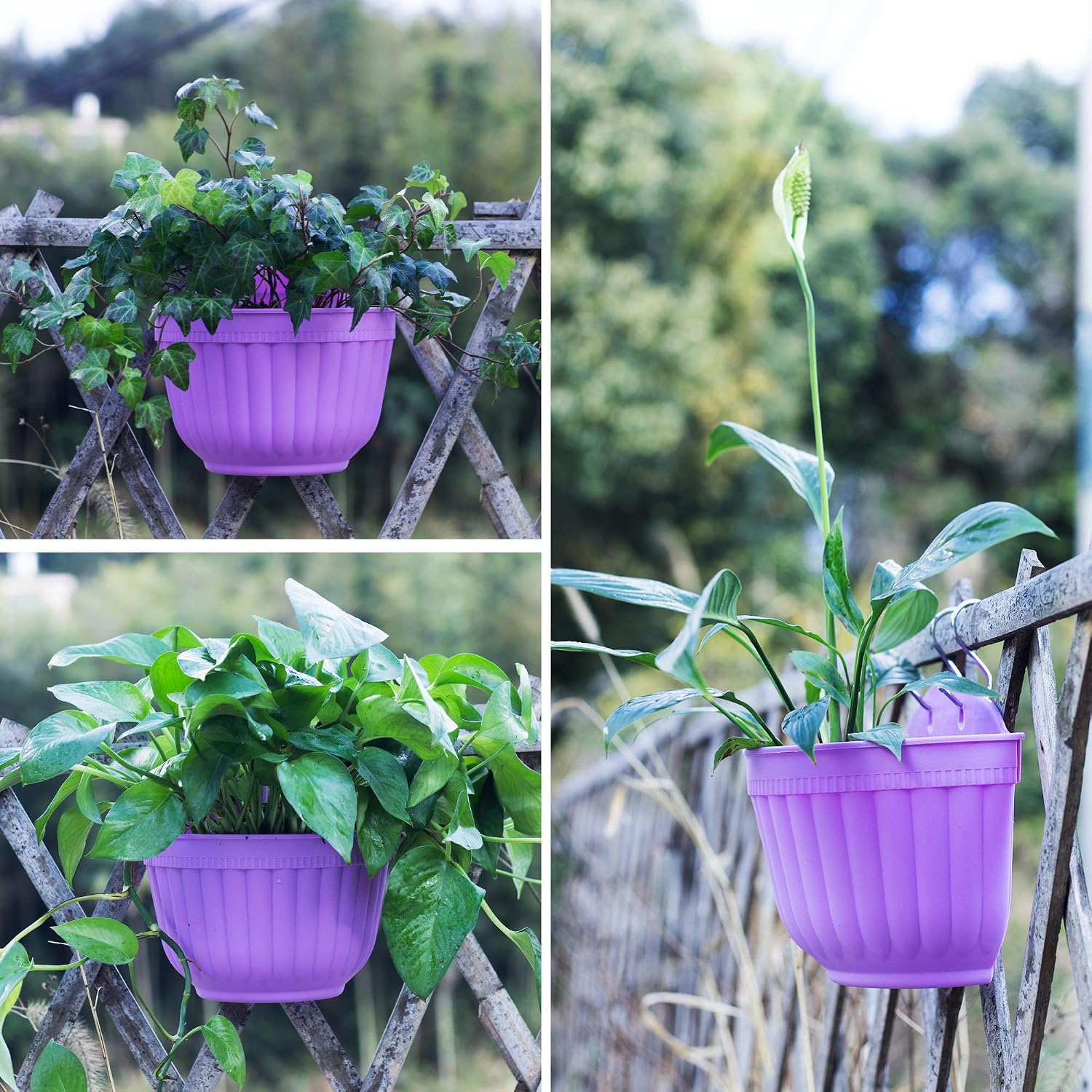 ORIMERC 6 Pcs Colorful Resin Wall Hanging Planter Pot Vertical Garden Living Wall Mount Window Hang Indoor Outdoor for Kitchen Herb Balcony Railing Shelf Fence Bedroom Trellis Décor