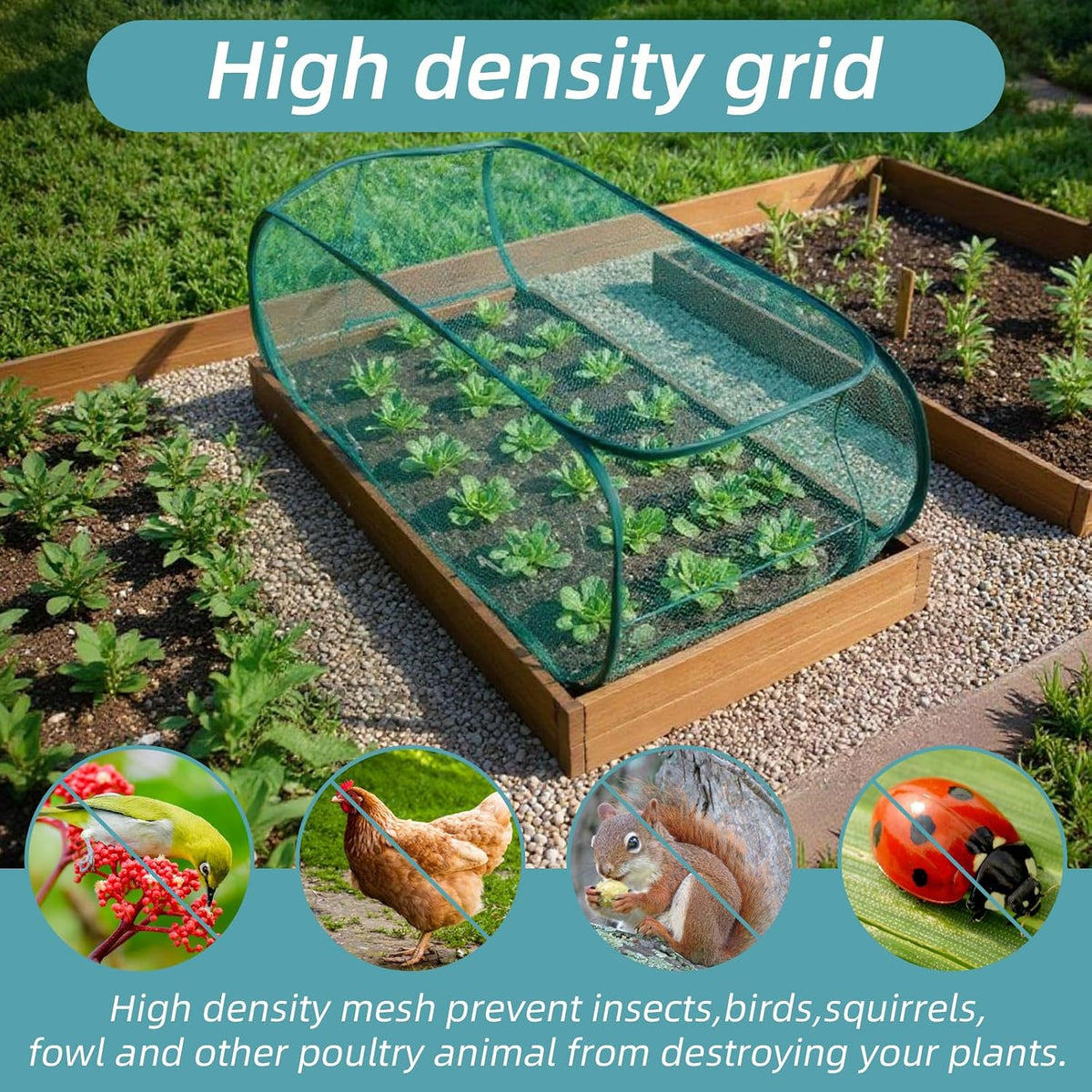 molain 4 pcs pop up garden plant covers, side view