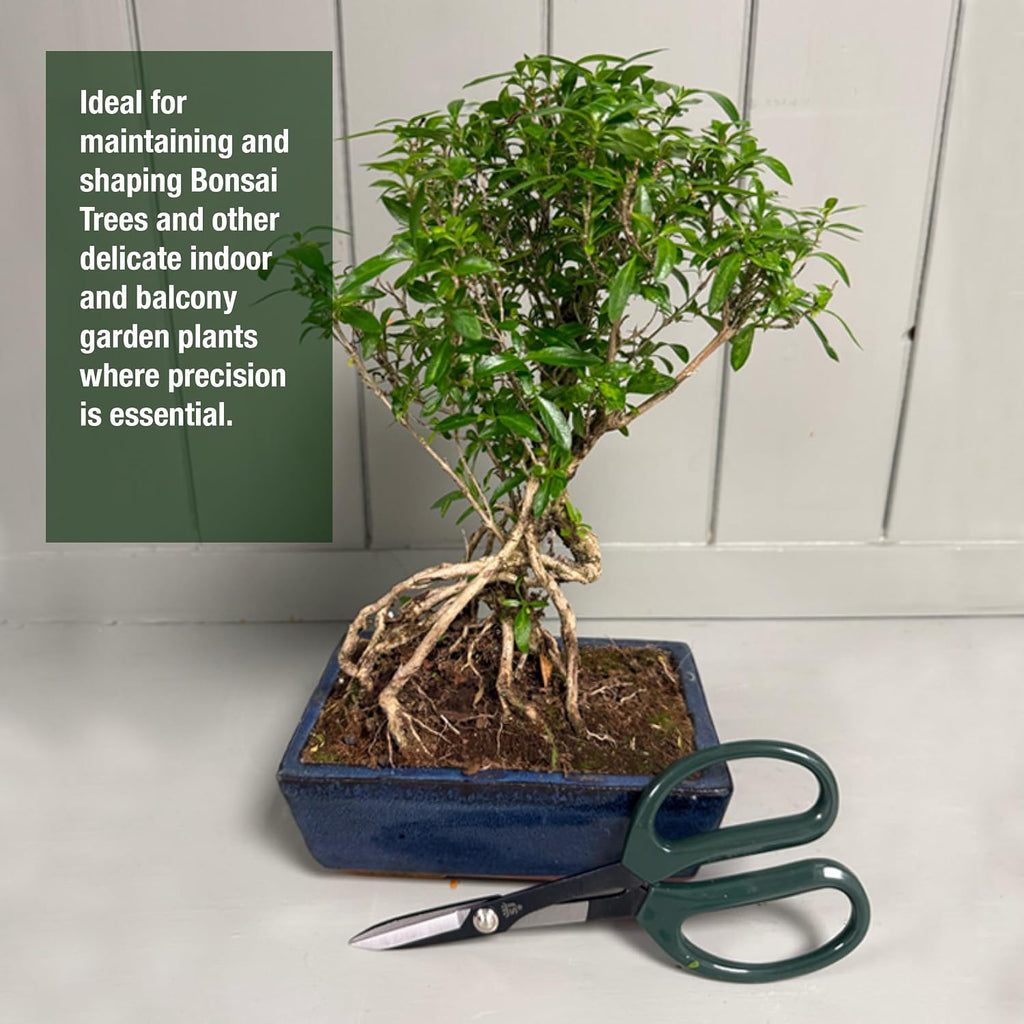 Spear & Jackson Kew Gardens Urban Oasis Japanese Bonsai Scissors - Precision Pruning Shears with Carbon Steel Blades, Fine Tip for Indoor Plants & Balcony Plants