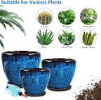Ceramic Pots for Plant with Self Watering Globes, 10 inch Planters for Indoor Plants with Saucer, Glaze Flower Pots Outdoor with Drainage Holes, Decorative Garden Pots