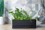 D'vine Dev 12 Inch Window Box Planter, Rectangle Plastic Herb Planter with Drainage Holes and Saucer, Indoor Succulent Cactus Vegetable Pot for Windowsill, Garden Balcony, Black, Set of 1, 76-X-B-1