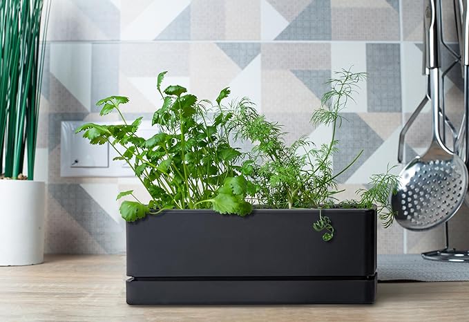 D'vine Dev 12 Inch Window Box Planter, Rectangle Plastic Herb Planter with Drainage Holes and Saucer, Indoor Succulent Cactus Vegetable Pot for Windowsill, Garden Balcony, Black, Set of 2, 76-X-B-2