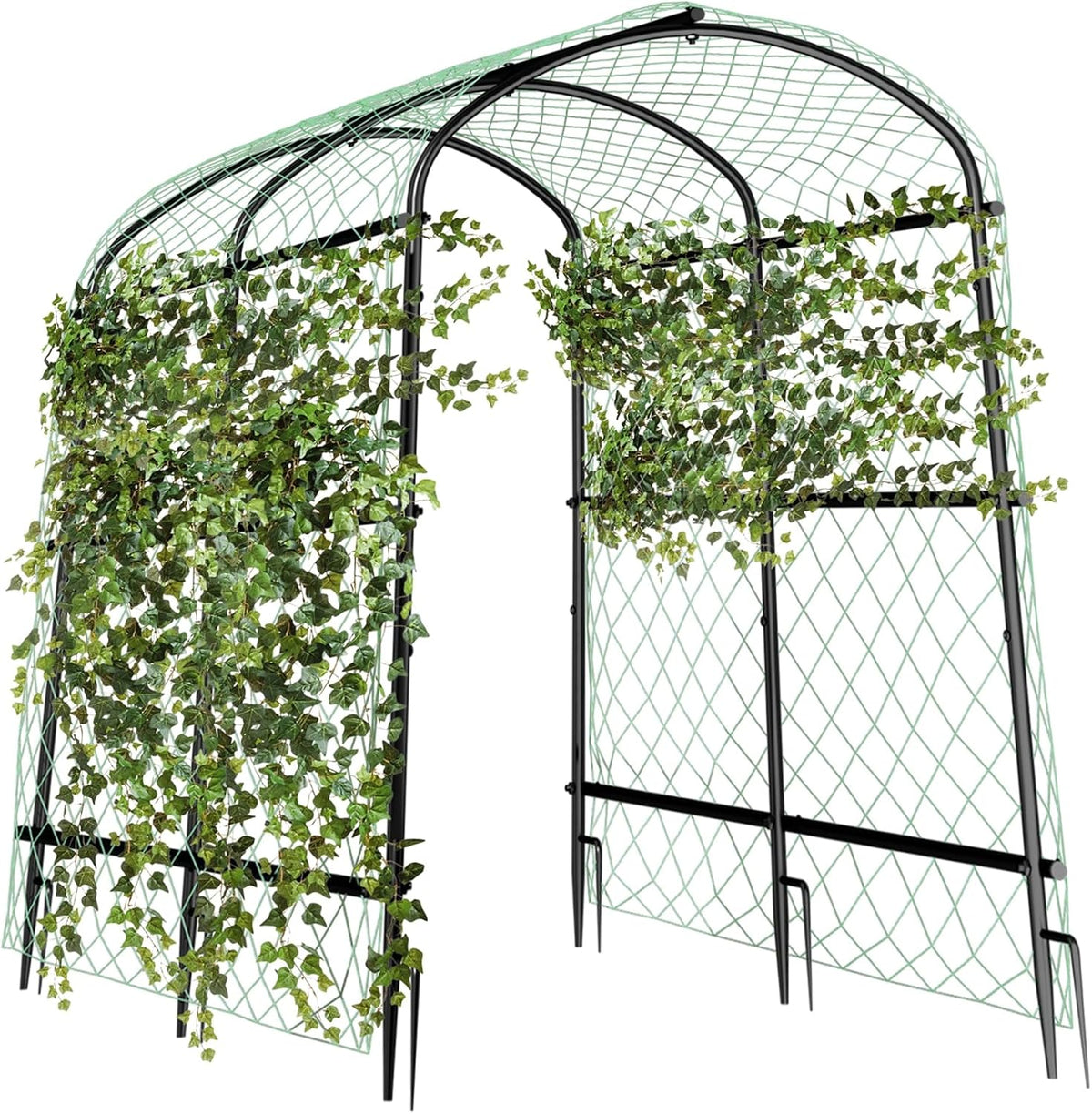 unho 63inch garden trellis arch: for climbing plants, main product view