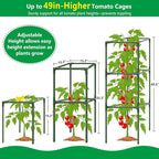3 Pack Square Tomato Cages, 49'' Tall Heavy Duty Steel Tomato Trellis Kit for Garden, Plant Support Tower Stakes Cucumber Pepper Trellis for Climbing Vegetable Flowers