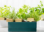 D'vine Dev 12 Inch Window Box Planter, Rectangle Plastic Herb Planter with Drainage Holes and Saucer, Indoor Succulent Cactus Vegetable Pot for Windowsill, Garden Balcony, Green, Set of 1, 76-X-C-1