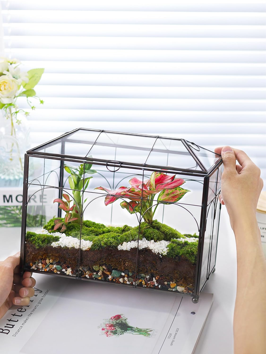 redhugo glass planter terrarium with lid, indoor display, side view