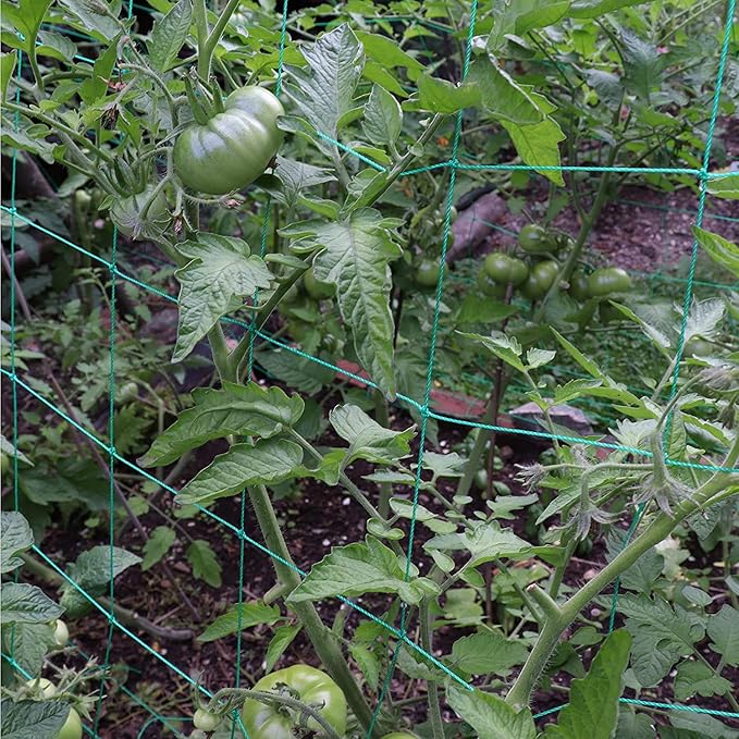 Trellis Netting for Climbing Plants - Heavy Duty Garden Trellis Netting for Cucumber, Vine, Fruits & Vegetables Tomato Plants Trellis Net, Climbing Vining Plants (1-Pack 3.3' x 6.6'Ft)