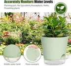 Plant Pots 4 Inch Self Watering Pots,6 Pack Plastic Planters with Drainage Holes and Clear Saucers,Plastic Flower Pots,Nursery Planting Pot for Indoor Out Door Plants (Green)