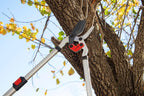 extendable duallink bypass lopper, 29-1/2 in. to 37-1/2, side view