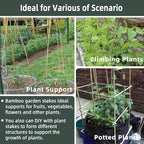 50Pcs / 16 inch Bamboo Plant Stakes for Indoor Outdoor Plants, Garden Plant Support Sticks, Poles for Tomato Vegetables Beans Trees Potted Climbing Plants(0.32'')