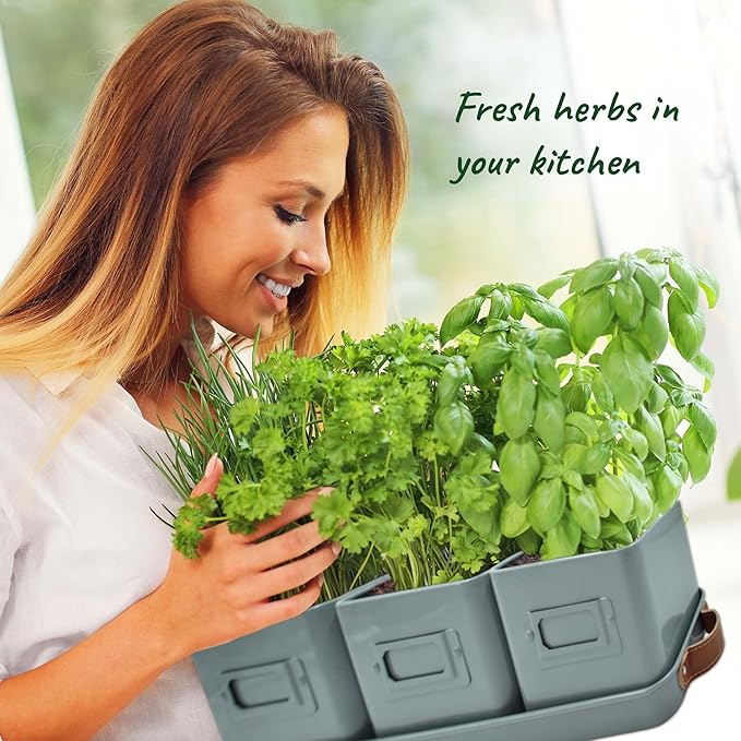 volila Herb Planter Indoor - Set of 3 Grey Indoor Herb Garden Pots for Plants with Leather Handled Tray - Window Sill Plant Shelf - Herb Pots with Drainage Holes and Labels