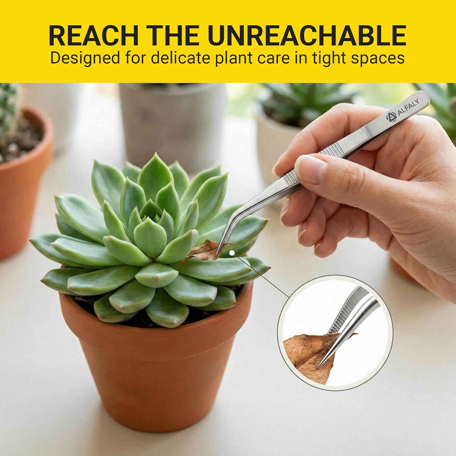 4pcs Garden Tweezers Set - 6.3" Long Plant Tweezers for Succulent, Bonsai & Cactus Gardening - Stainless Steel Multi Purpose Seed Tweezer Tools For Kitchen, Crafts, Aquarium, Reptile