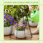 garden chicken wire cloche, 12" w x 15.7" on a desk or shelf