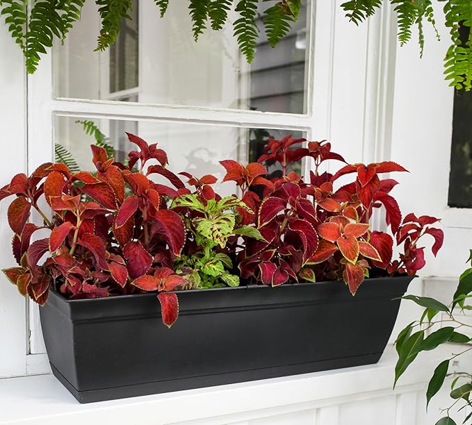 The HC Companies 30 Inch Eclipse Window Planter Box with Drainage Holes & Attached Saucer, Lightweight UV-Resistant Plastic Indoor & Outdoor Planters, 2-Pack Flower Box for Garden & Home Decor, Clay