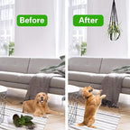 Augshy Macrame Hanging Planter, 2 Pack Hanging Planters for Indoor Plants Indoor Outdoor Decor Handmade Hanging Plant Holder(35 Inch)