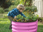 Plant & Plot Galvanized Raised Garden Beds Outdoor // 4×2×1 ft Planter Raised Beds for Gardening, Vegetables, Flowers (Pink) // Large Metal Garden Box