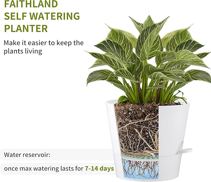 FaithLand 2-Pack 10 Inch Planter Pots for Indoor Outdoor Plants, Self Watering Flower Pots with Deep Reservoir, White …