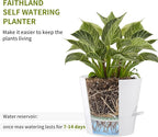 FaithLand 2-Pack 10 Inch Planter Pots for Indoor Outdoor Plants, Self Watering Flower Pots with Deep Reservoir, White with Terracotta …