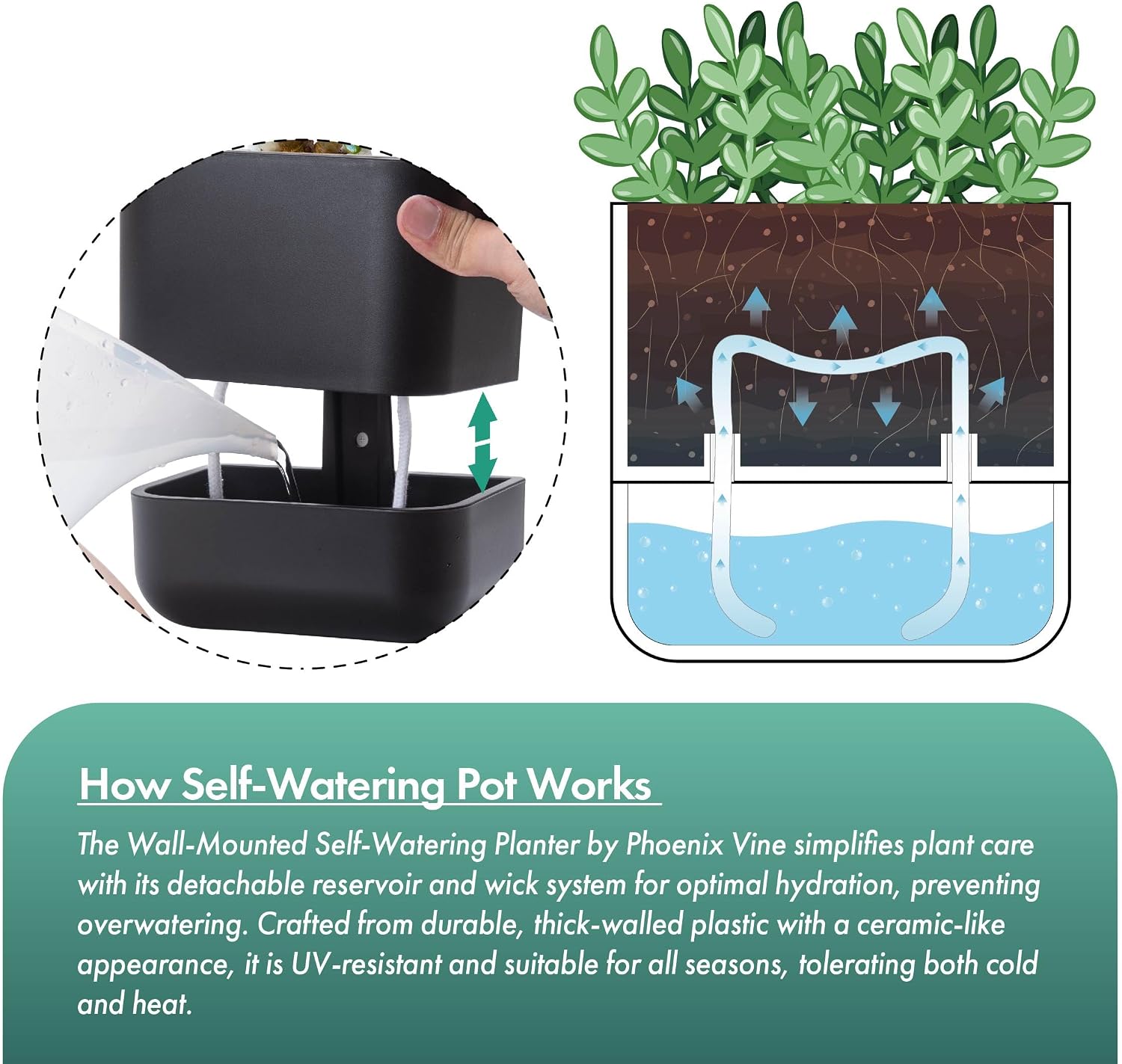 Phoenix Vine 6.5 Inch Wall Mounted Self-Watering Planter Pot for Indoor Houseplants and Herbs | Hanging Planter for Window Sills, Bathroom Walls, Home & Office Décor, Black, Set of 3, 01-C-E-3