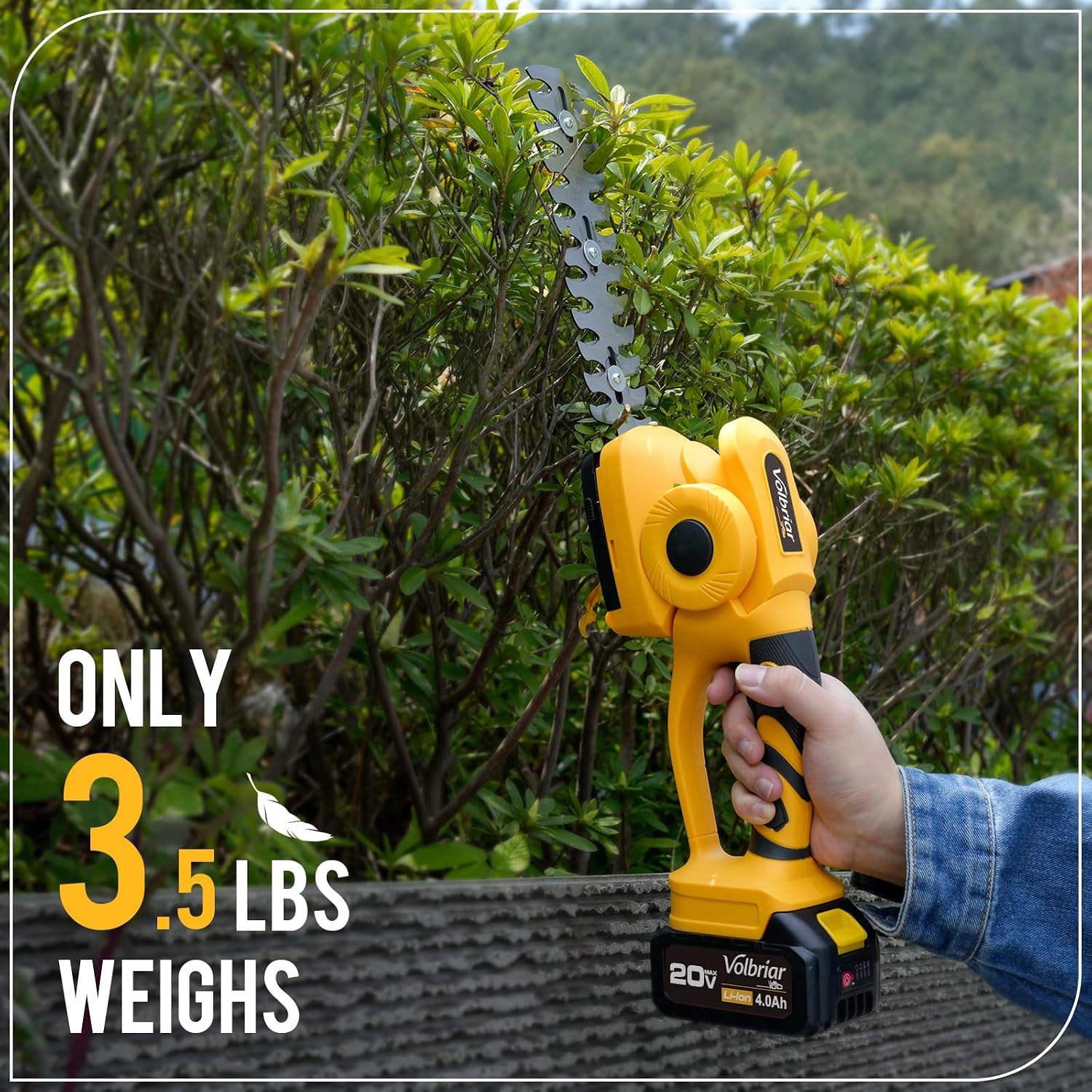 2-in-1 Cordless Pole Hedge Trimmer & Grass Shear, 14FT Reach | 20V Power with 2x4Ah Batteries, 9" Hedge Blade & Grass Shear, Multi-Angle Head, Up to 2800RPM for Shrubs and Lawn Edges