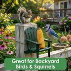 Hunter Green Adirondack Chair Squirrel Feeder | Metal Chair Holds 1 Corn Cob or Orange Slice - Mounts to Any Tree or Post, Attracts Squirrels, Orioles and Blue Jays