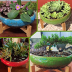 ARTKETTY Succulent Pots - 10 Inch Large Ceramic Bonsai Pots with Drainage Stand for Indoor Plants Shallow Planters Decorative Cactus Flower Plant Container Bowl