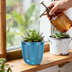 QCQHDU 2 Pack Self Watering Pots, 5.7 Inch Flower Pots with Drainage Holes and Water Filling Port, Garden Planter for Indoor Outdoor Plants (Klein Blue)