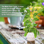 17.5 Inch Plant Trellis Indoor for Climbing Plants,Metal Trellis,Small Garden Trellis for Potted Plants,Plant Stakes for Indoor Plants Accessories Hoya,Flower,Plant Support,Plant Gifts(Circular-Metal)