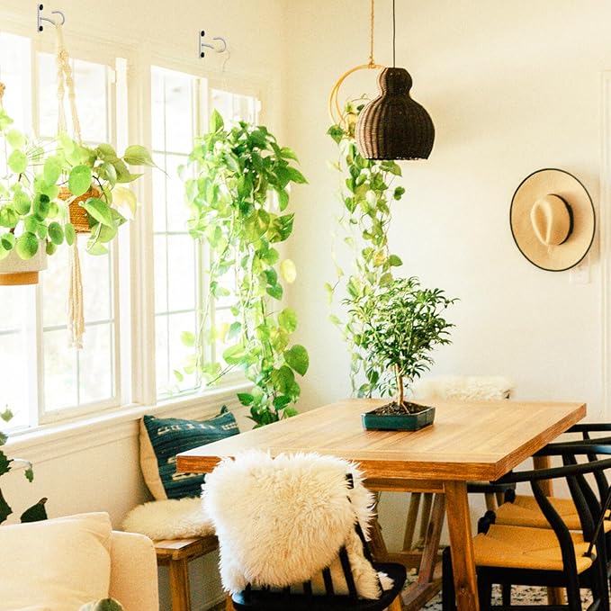 2Pack 2.5Inch Ceiling Hooks for Hanging Plant, Hanger for Indoor and Outdoor Plant Pots Holder, Wall Hook for Planters, Flower Basket, Wind Chimes, Lanterns, Lights, Bird Feeders, Home Decor-White