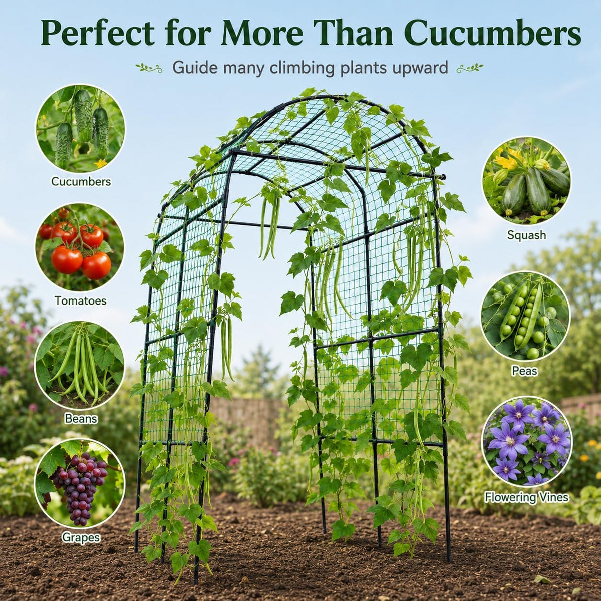 follook garden arch trellis for climbing plants outdoor showing dimensions