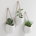 kazai. wall planters -ellie- | hanging ceramic plant, main product view