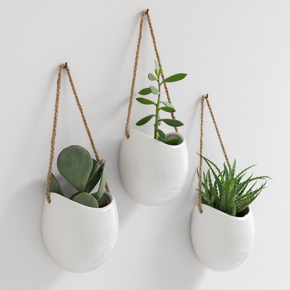 kazai. wall planters -ellie- | hanging ceramic plant, main product view