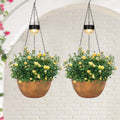sunnypark 2 pack solar hanging planters for plants, main product view