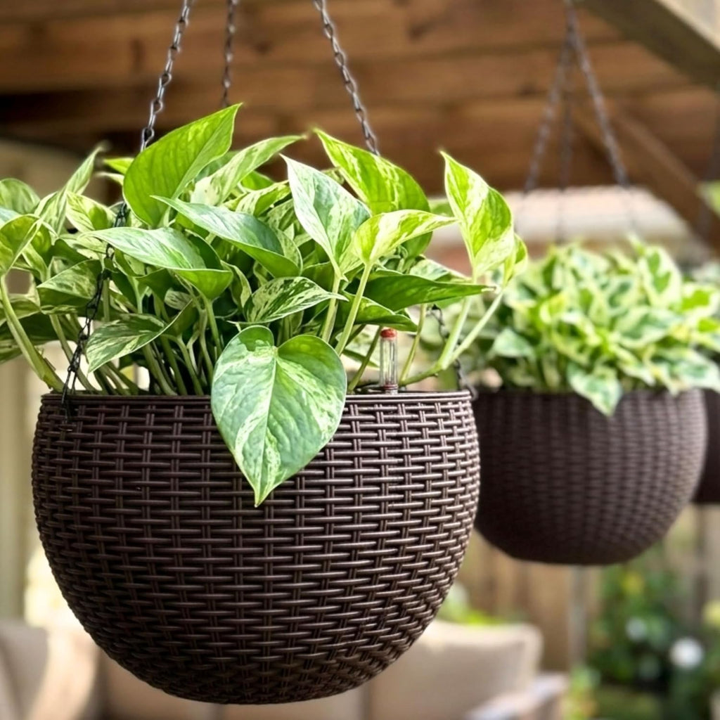 lalagreen hanging planters (11in, 2 pack) self-watering hanging, main product view