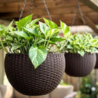 lalagreen hanging planters (11in, 2 pack) self-watering hanging, main product view