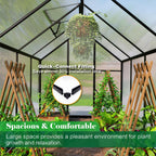 6x10 ft greenhouse for outdoors, polycarbonate green house shown in use