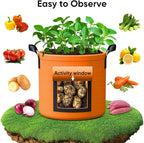 5 Gallon Potato Grow Bags - 6 Pack 350g Heavy Duty Thick Aeration Nonwoven Fabric Pots with Handles, Potatoes Grow Bags 5 Gal with Flap, Garden Bags for Growing Potatoes Plant Vegetables Flower