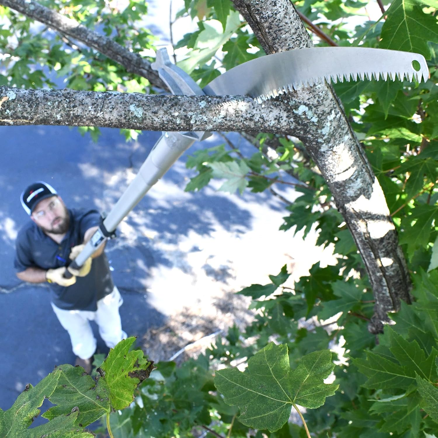 Jameson Tri-Cut Pole Saw Head Kit, 16-Inch Blade, Corrosion-Resistant Aluminum, Model PS-3FPS2