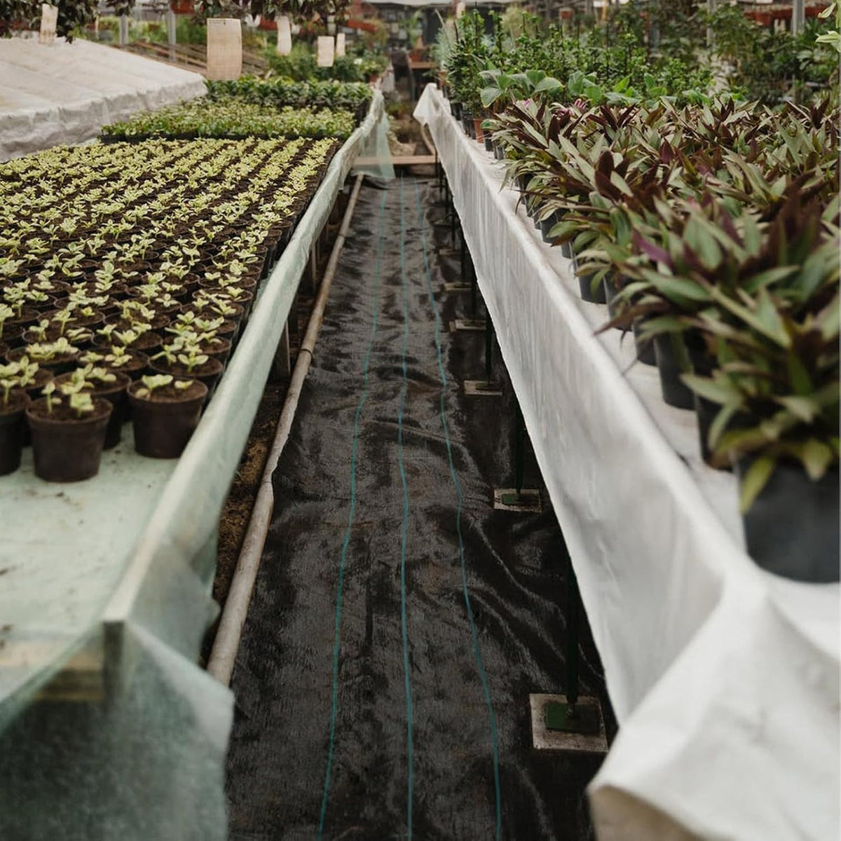 vevor weed barrier landscape fabric, heavy duty 5x250ft, front angle view