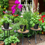 6 Pack 7 Inch Plant Pots with Drainage and Saucers, Black Plastic Flower Pots for Indoor and Outdoor Plants, Stackable Nursery Planters for Houseplants and Herbs, Black