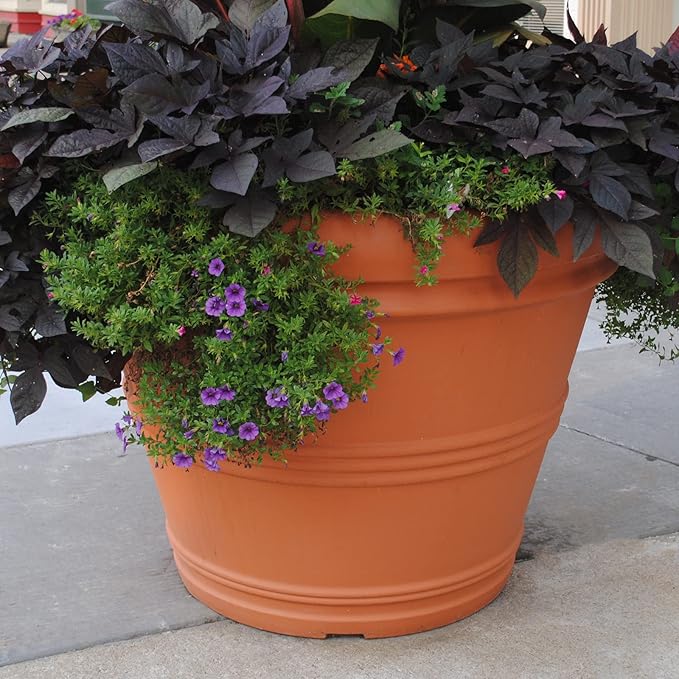 Tusco Products Rolled Rim Garden Planter, 42-Inch, Espresso