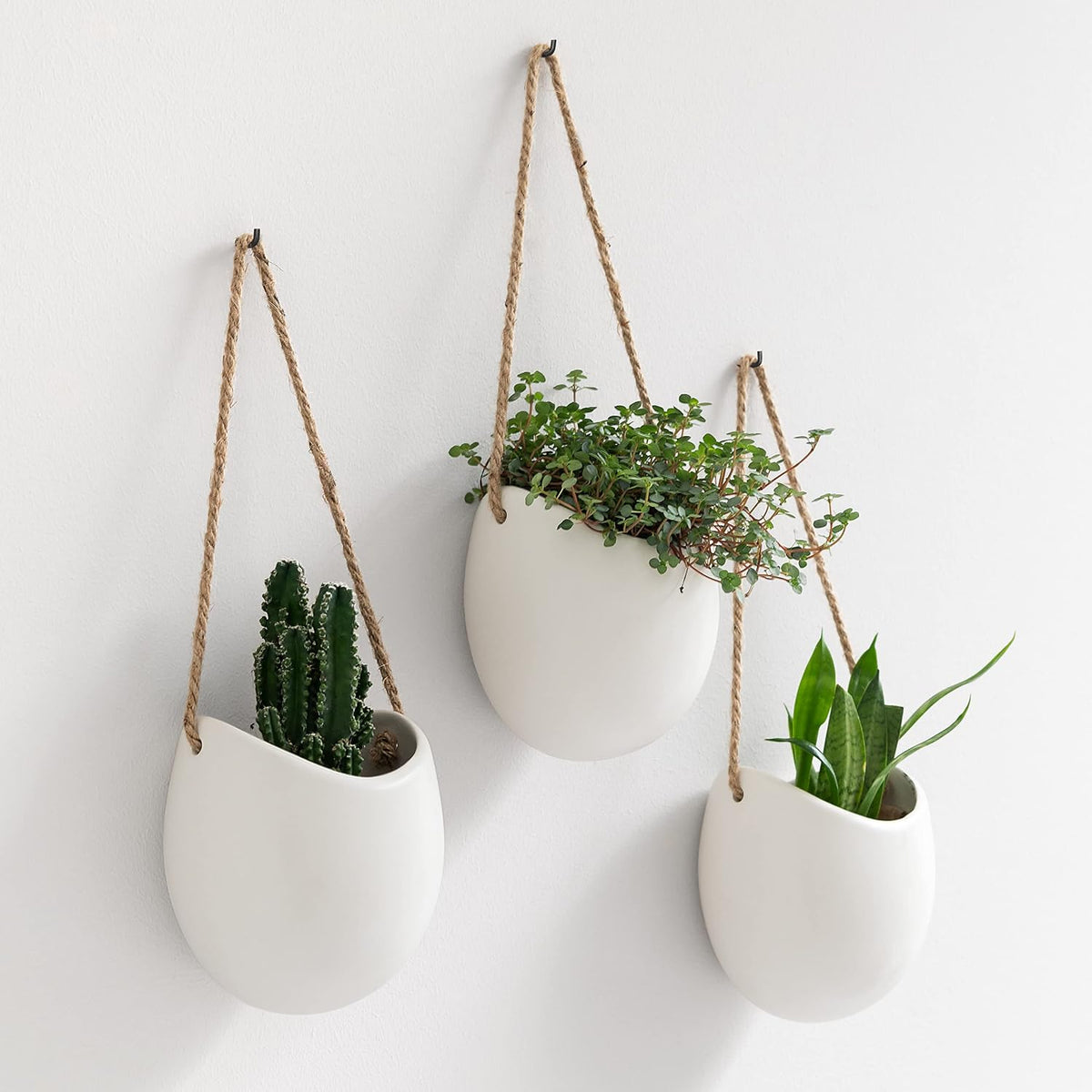kazai. wall planters -ellie- | hanging ceramic plant, main product view