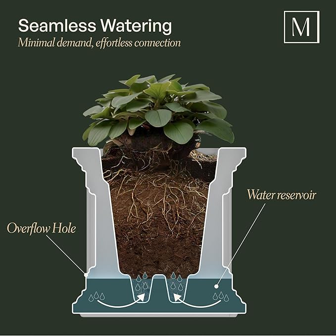 Mayne Nantucket 20-Inch Square Planter – Self-Watering, Weather-Resistant Planter for Flowers – Durable Outdoor Design for Patio, Porch, or Entryway