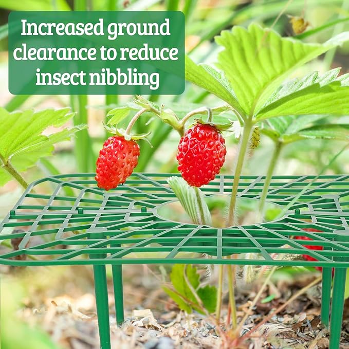 4 Sets Strawberry Plant Support with Mesh Cover - Square Gardening Frame, Animal Barrier, Iron Stakes & Storage Bag for Healthy Strawberries, Tomatoes, Veggies (Green) (4 pcs)