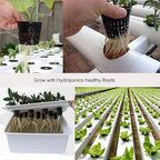 ORIMERC 4 inch 15 Pack Net Cups Pots, with 15 feet Self Watering Rope, 15 Plant Labels, for Hydroponics Aquaponics Kratky Orchid Vegetable Indoor Outdoor Growing Baskets Nursery Slotted Mesh BPA Free