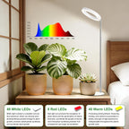 Hywyimlait 6.3" Indoor Plant Growth Lights, Full Spectrum Plant Growing Lights, 8.2"-37.4" Height Adjustable Desk Grow Lamp with Base and Ground Stake, Auto Timer 4/8/12/18H, 3 Light Modes, 10 Dimming
